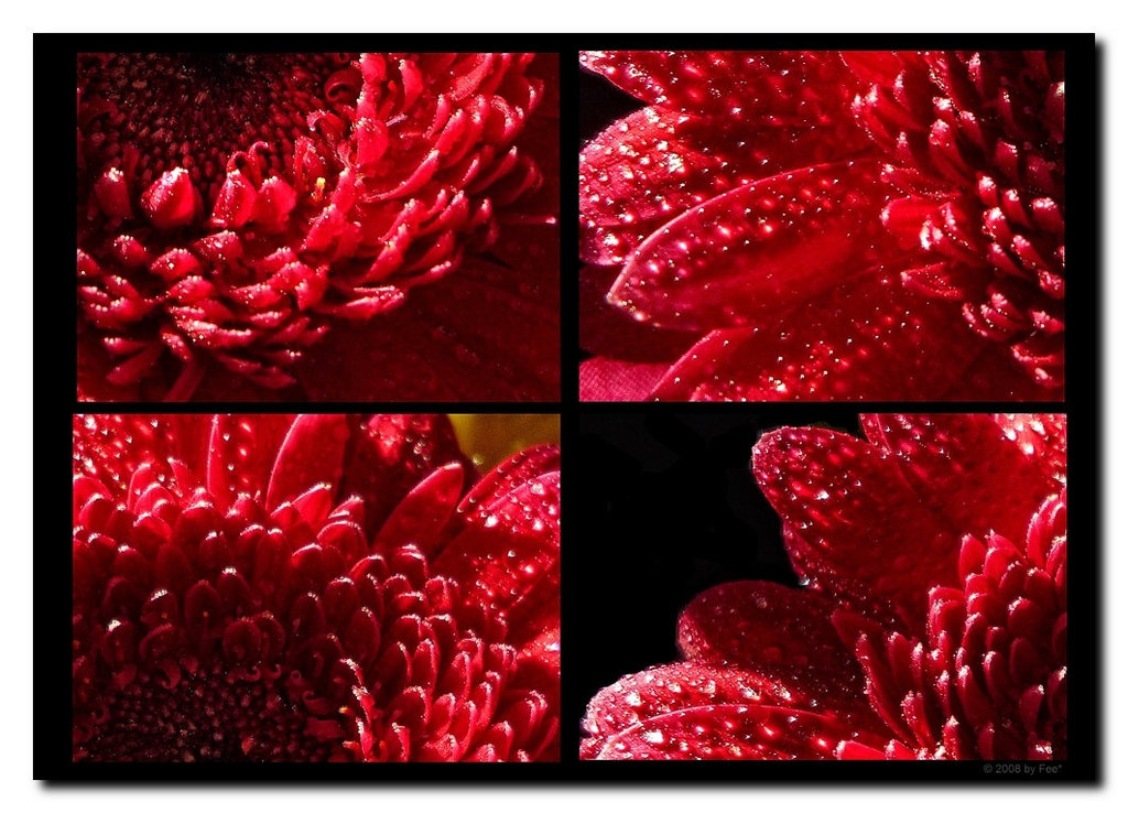 Rouge