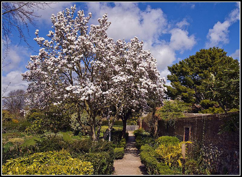 Cathedral Gardens Chichester