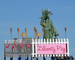 Liberty Pig (0593)