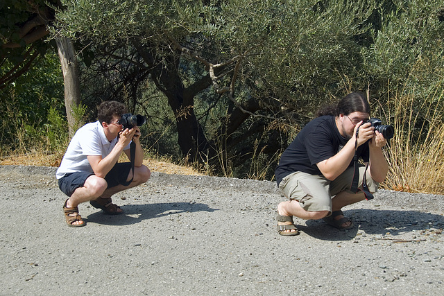 Photographers at work....