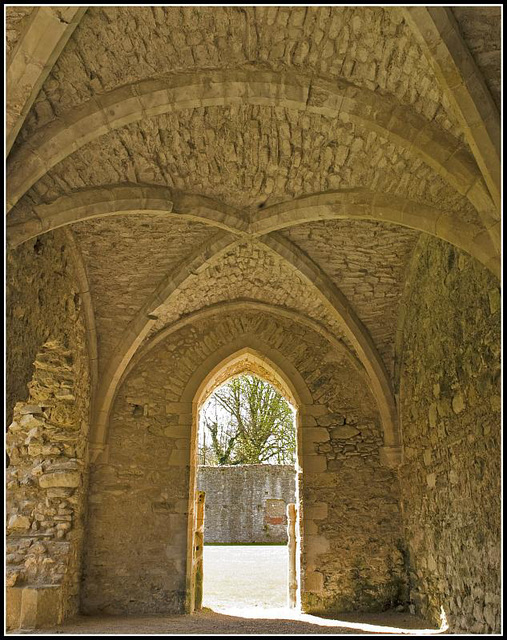 Netley Abbey Ceiling