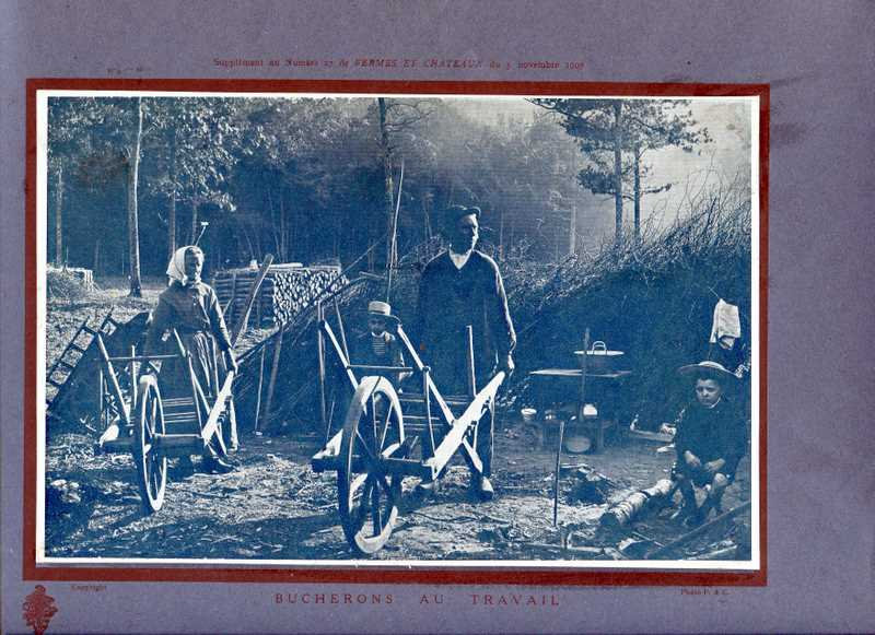 bucherons au travail 1907