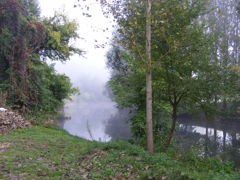petit matin brumeux
