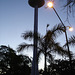 Château d'eau et lampadaire / Water tower and street lamp.