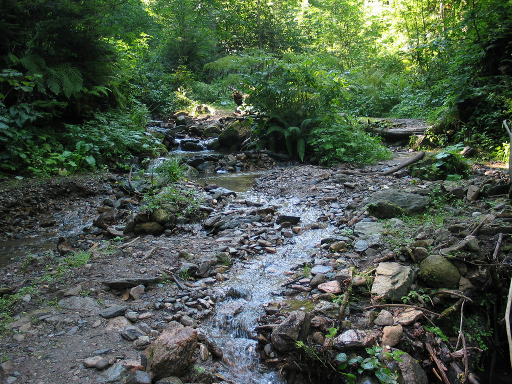 Wanderweg durch die Heilig Geistklamm/Steiermark