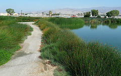 Coachella Valley Wild Bird Center (1468)