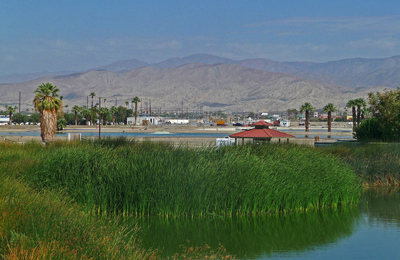 Coachella Valley Wild Bird Center (1471)