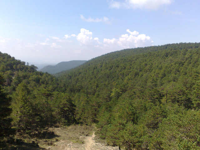 Pinares, Alcalá de la Selva (Teruel).