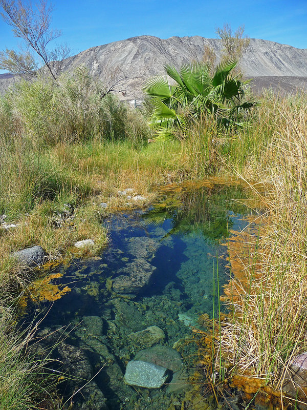 Upper Spring (1660)