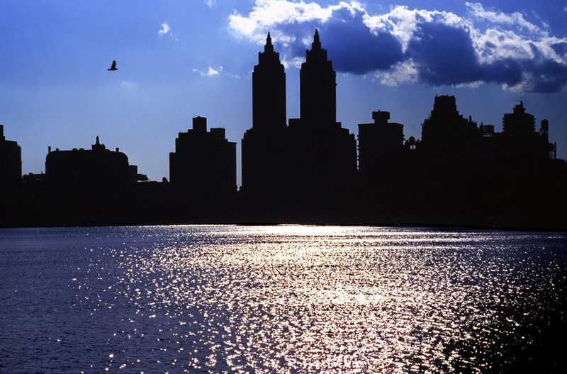 Central Park Silhouette