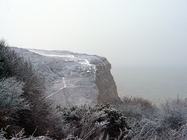 Hastings Country Park The View