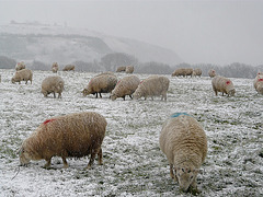 Hastings Country Park Winter Coats 3