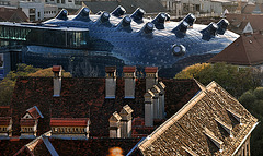 Old Roofs and the "Friendly Alien"