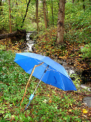 Stream and blue umbrella / Ruisseau et parapluie bleu
