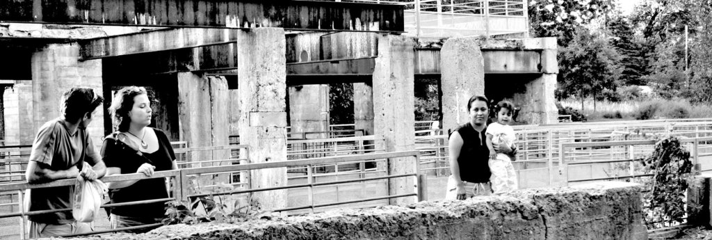 Another Brick In The Wall