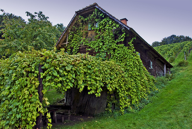 Southern Styria - Wine Cellar House