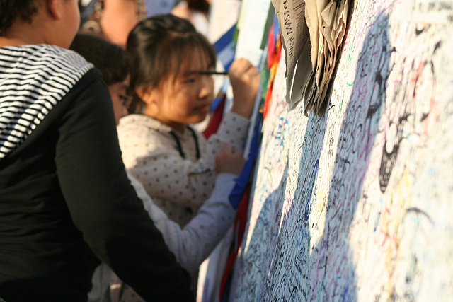 86.ObamaMessageBoard.LincolnMemorial.WDC.7nov08