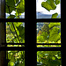 Southern Styria - Wine Cellar Window