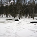 Ice on Jackson creek