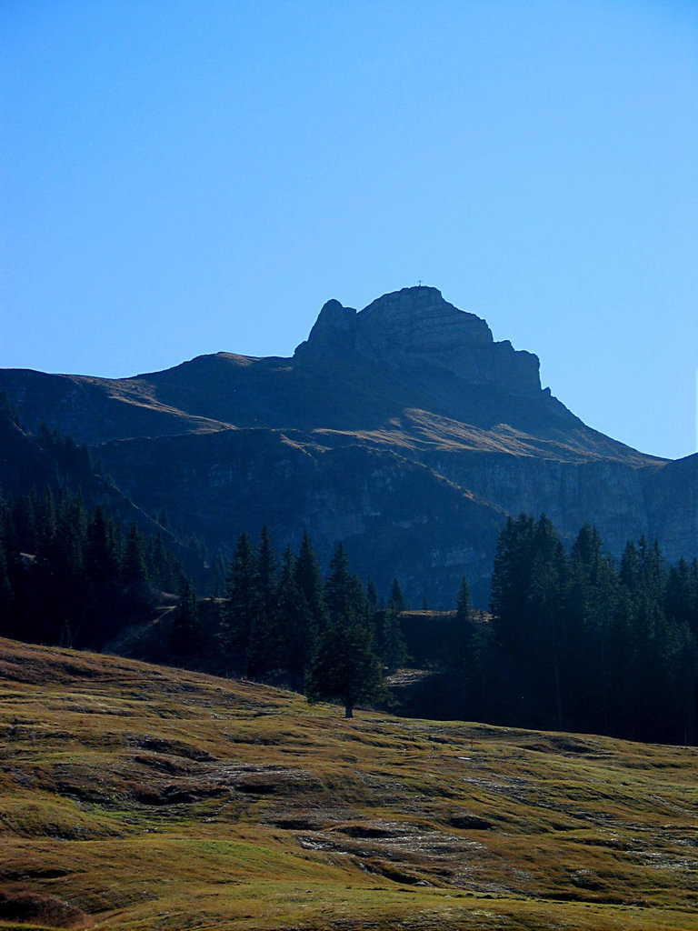 Damülser Mittagsspitze im Gegenlicht.