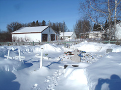 White Cree cemetery