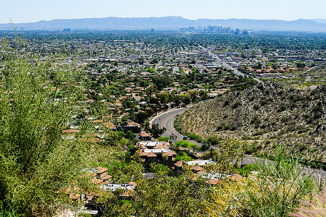 Phoenix (AZ)