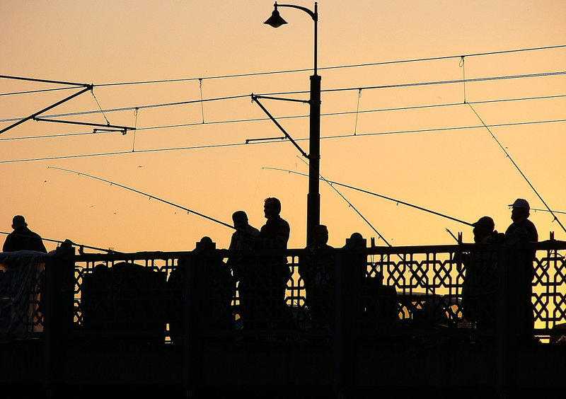 Rods and lines