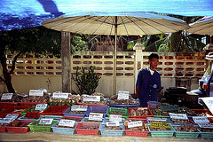 Vendor for spices, herbs and natural medicines