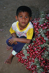 Boy in the village Kantaralak