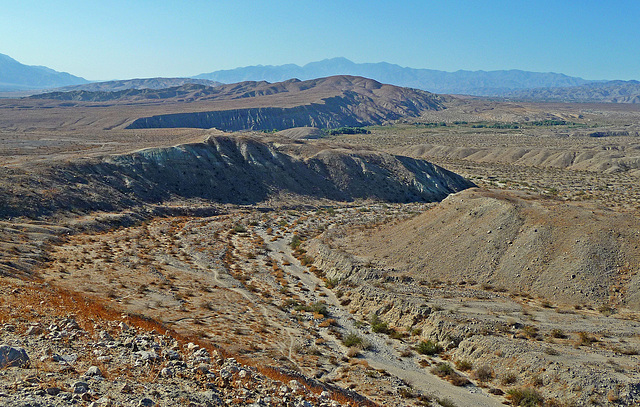 Coachella Valley Preserve (1627)