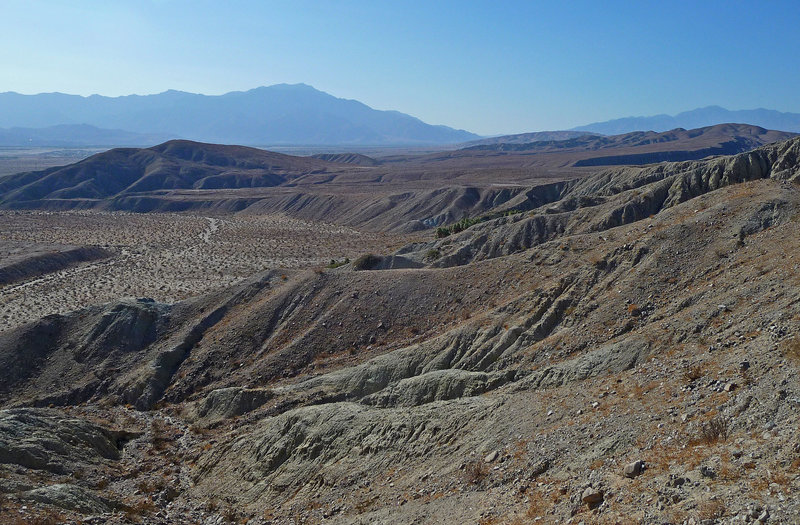 Coachella Valley Preserve (1628)