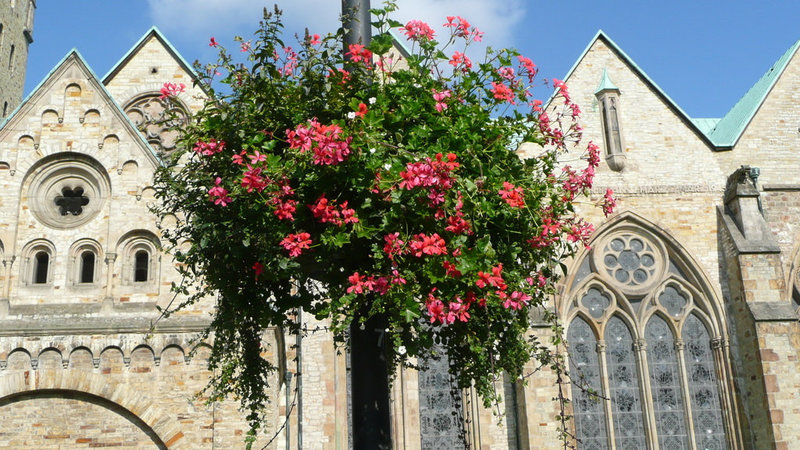 Der Hohe Dom zu Paderborn