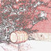 Baril et mur de briques  /  Bricks wall and  barrel  -  Dans ma ville  / Hometown - 25 janvier 2008  / Contours en couleur