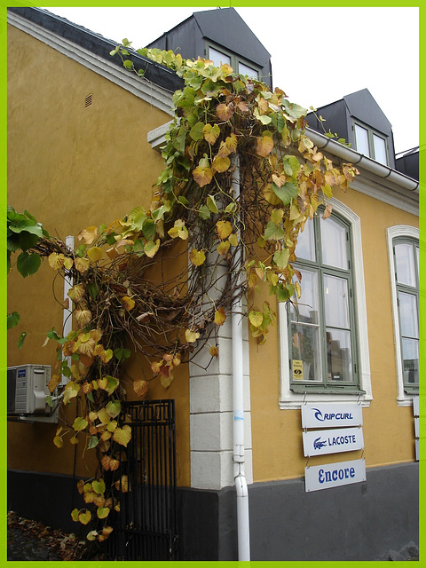 Encore une belle façade !   Once again a pretty façade ! -  Båstad, Sweden.  21 octobre 2008.