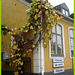 Encore une belle façade !   Once again a pretty façade ! -  Båstad, Sweden.  21 octobre 2008.