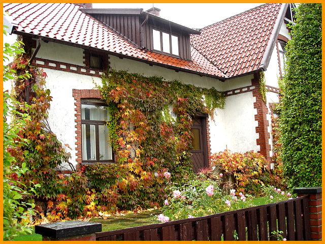 Écrin de verdure /  Wall of greenery -   Båstad - Suède /  Sweden.