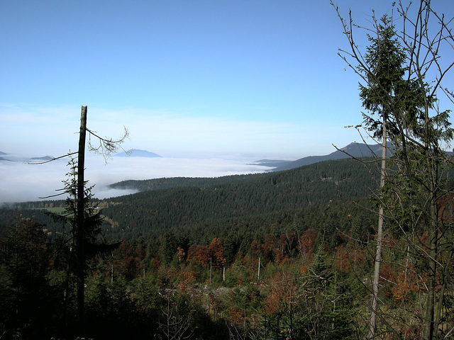 an der Hindenburgkanzel