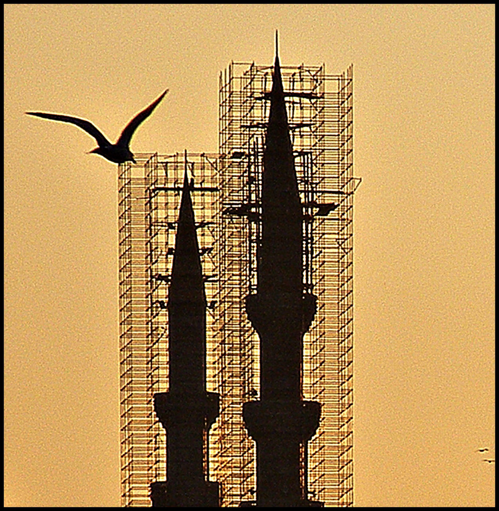 Bird and minarets