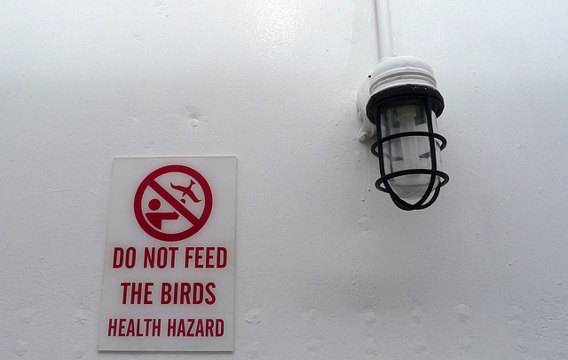 Do Not Feed The Birds Health Hazard (2866)