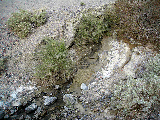 Not Furnace Creek (2082)