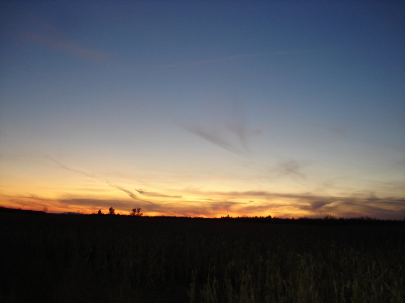 Coucher de soleil / Sunset - Venise en Québec, QC- CANADA-  2 Novembre 2008.