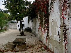 Hunting Ground of Mafra, old house backyard (1)