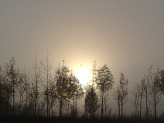 sol entre la niebla