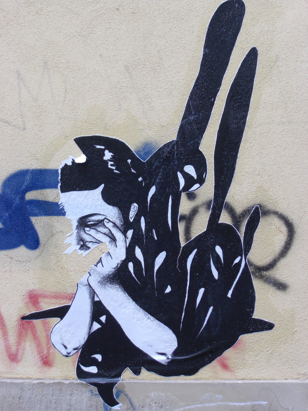 CIMG3289