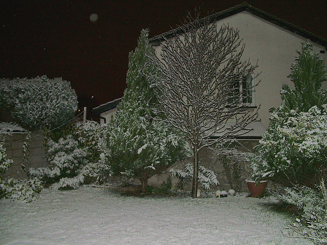 A wintry garden