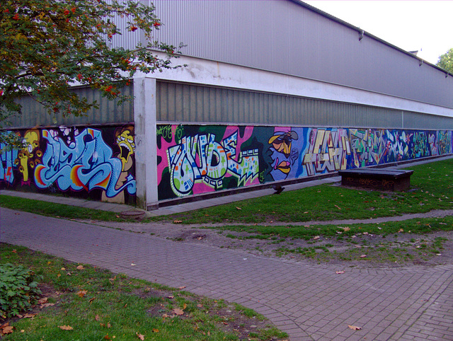 Mit Grafittiwand verschönerte Aldi - Rückseite