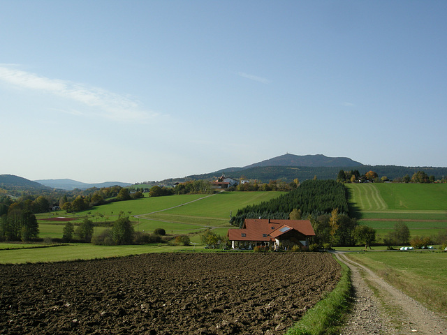 Bayerischer Wald