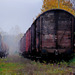 Trains and fog.......