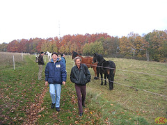 2008-10-19 12 Wandertruppe, Weissig - Heidenau