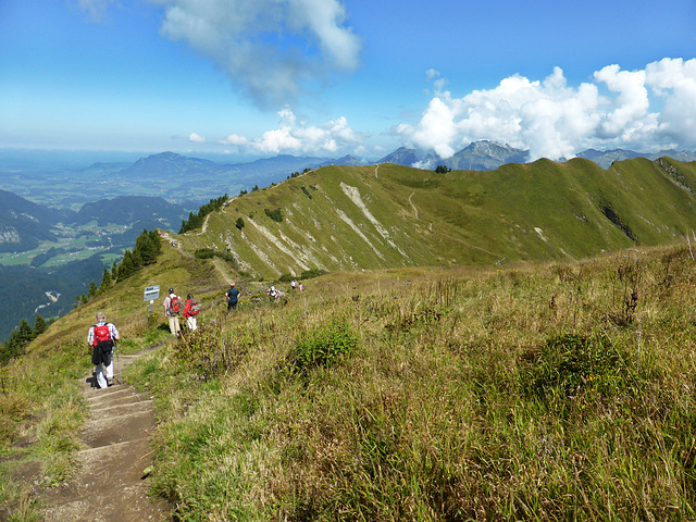 Der Fellhornkamm